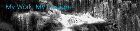 Page passion